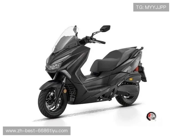 16999元 鸿250CITY SE正式上市